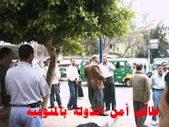 امن الدولة