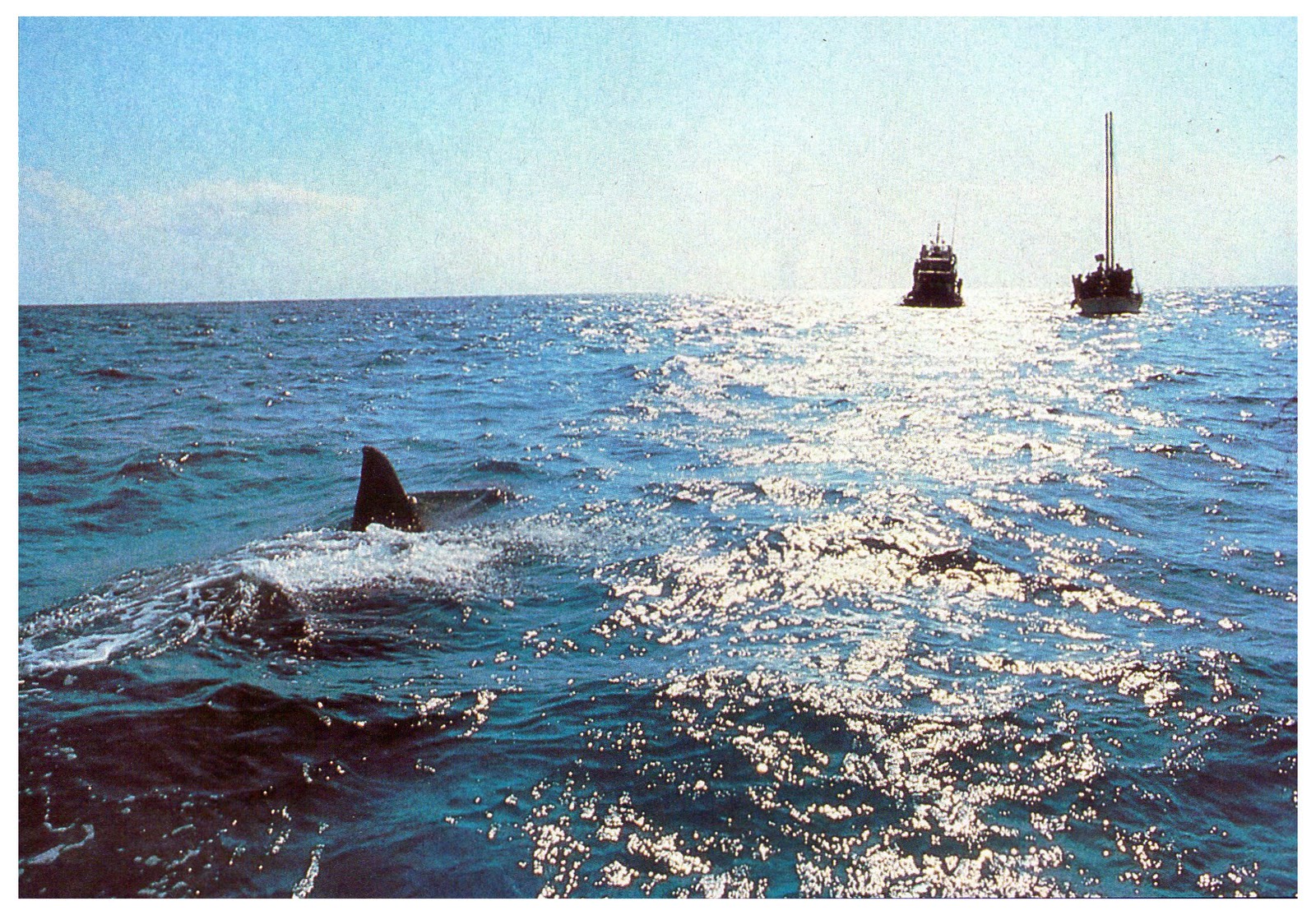 Les Dents De La Mer 4 La Revanche Les Dents De La Mer 4 - La Revanche [1987] watchmovies - warriordevelopers