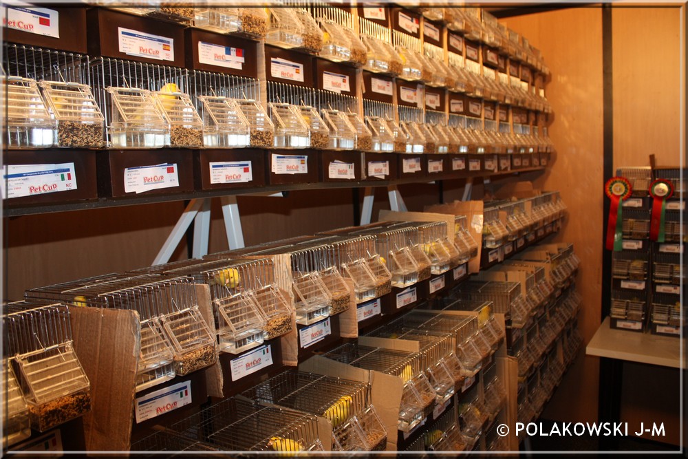 Mundo dos Canários Harz Roller