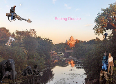 Seeing double at Disney World Florida