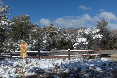Leprachan sitting on snowy fence Yarnell AZ