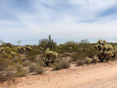 Desert Vulture Mine Road Wickenburg Arizona