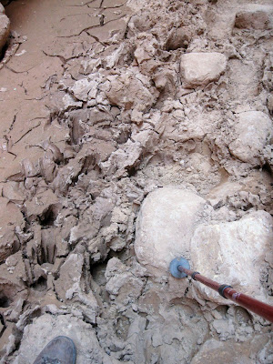 Dried clay in Buckskin Gulch Slot Canyon Grand Staircase Escalante Arizona