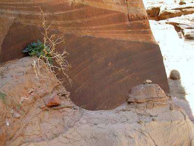 Petroglyphs and sediments at junction Wire Pass and Buckskin Gulch Utah