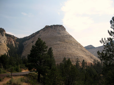 Checkerboard Mesa Zion National Park Utah