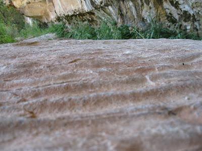 Rippled sandstone at Cliff Spring North Rim Grand Canyon National Park Arizona