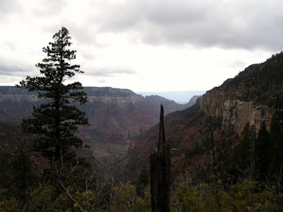 View south from North Kaibab trail Grand Canyon National Park Arizona