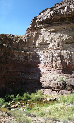 North Kaibab trail Grand Canyon National Park Arizona