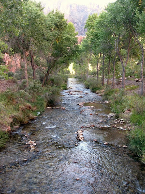 Bright Angel Creek through camp Grand Canyon National Park Arizona