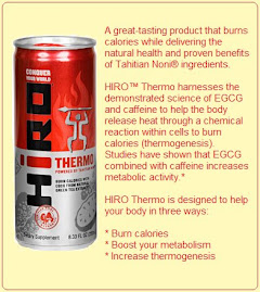 HIRO™ Thermo