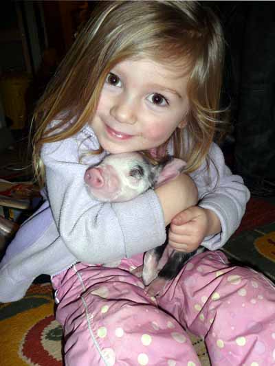 [lily+and+the+pig+030.jpg]