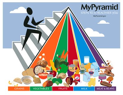 All about calories and foods in Malaysia New Malaysian Food Pyramid