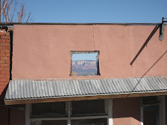 Natural Desert Framing