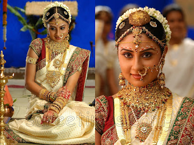 Varudu movie fame South Indian actress Bhanu Mehra in beautiful bridal saree