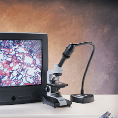 Objeto de aprendizaje