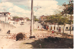 REGISTRO DA HISTÓRIA            O descaso e o abandono da administração de Garrafão de 1993 a 1996.