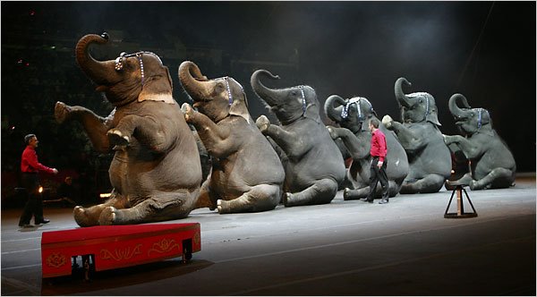 [circus.bmp]
