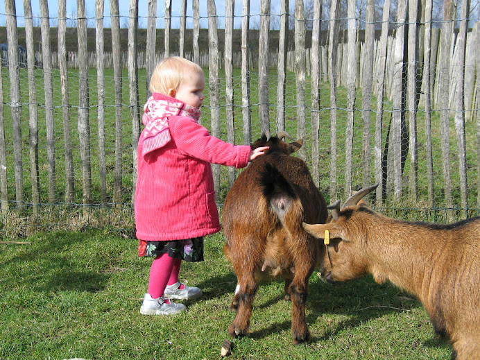 Lieve geitjes op de zorgboerderij