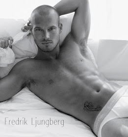 Ljungberg Tattoodsedc