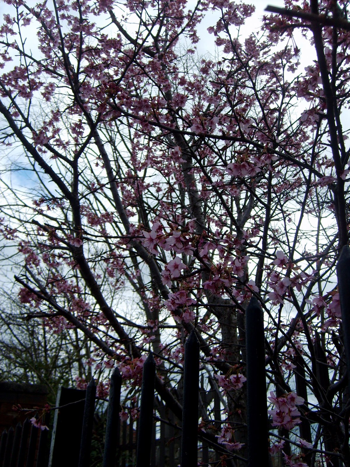 [S5004469.JPG]