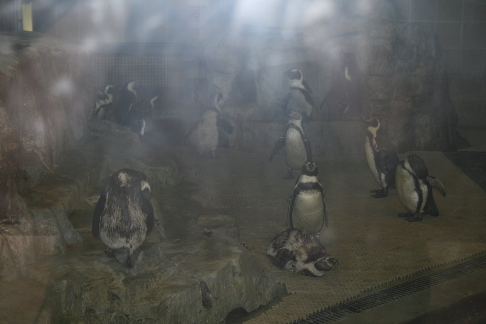 [Denny+on+Leave+060.JPG]