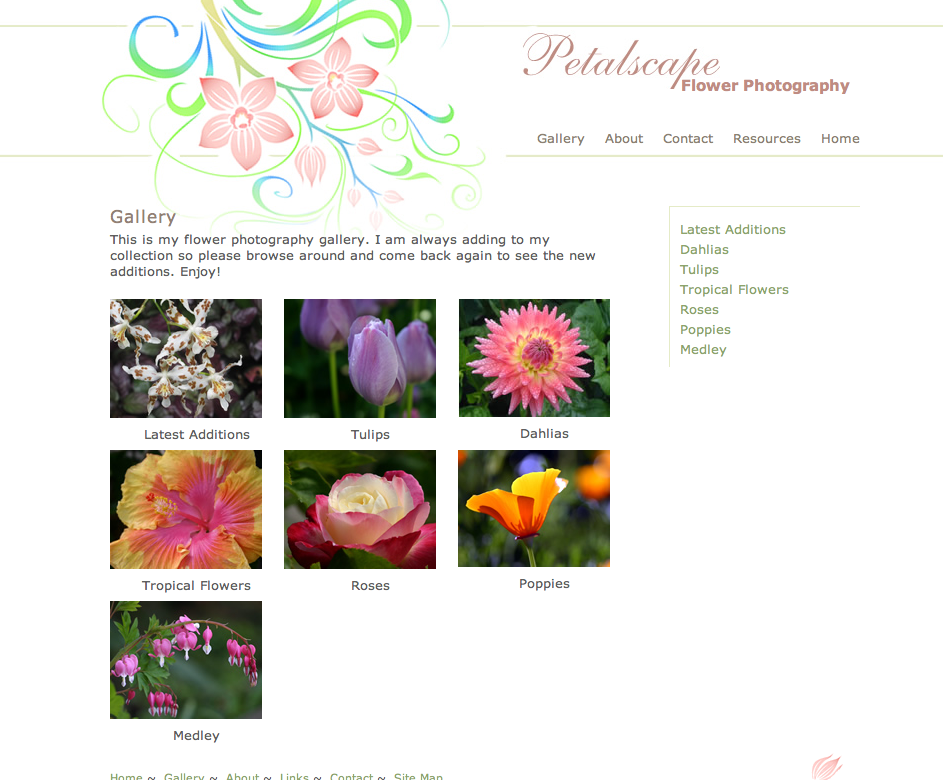 about us page design for photography website about us page design for photography website
