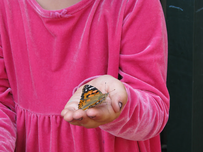 Butterfly Girl