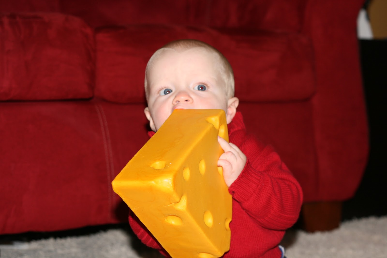 Our Happy Little Family Cheese Head