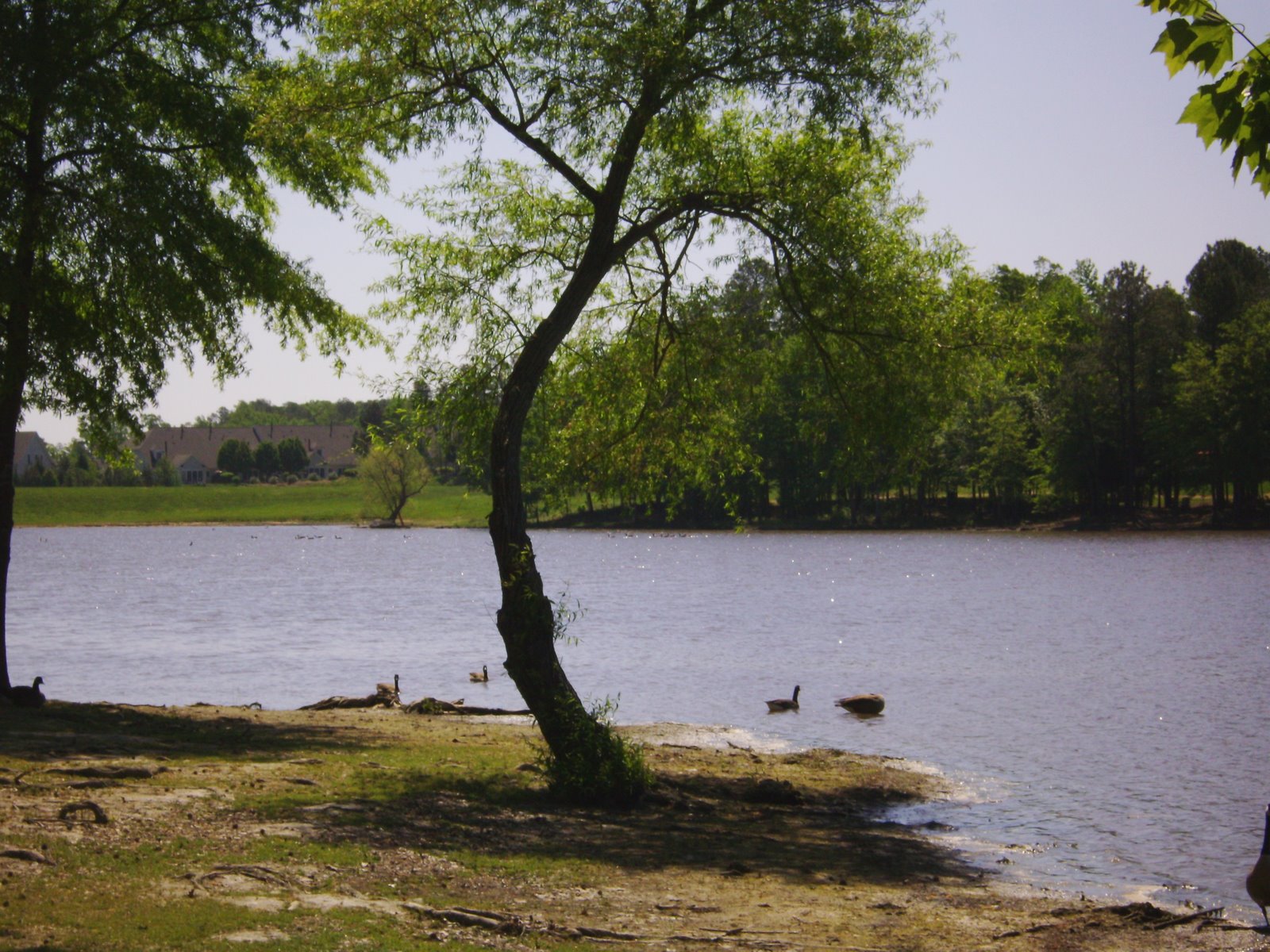 [PICT0147.jpg]