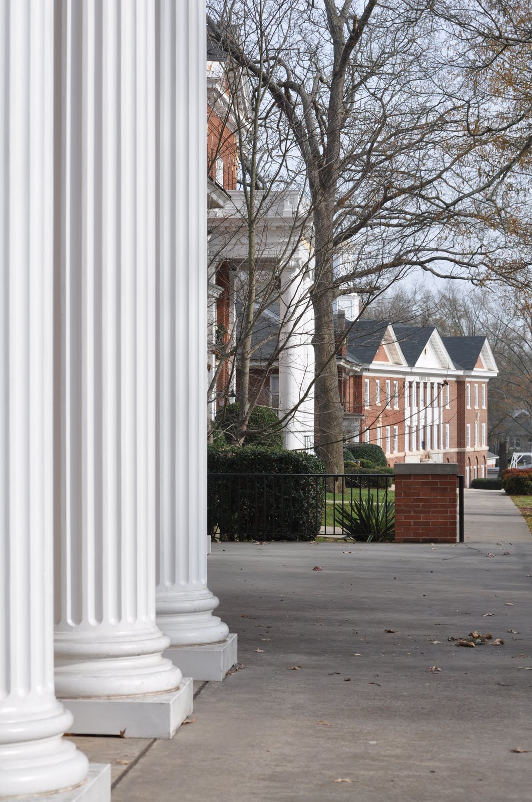 SEC Photography From random cities throughout Ga. & N.C.