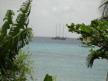 Grenada 2007