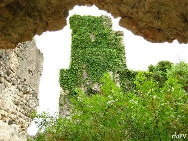 elSocarraet EIXIDETES (2) El Castell de Perputxent