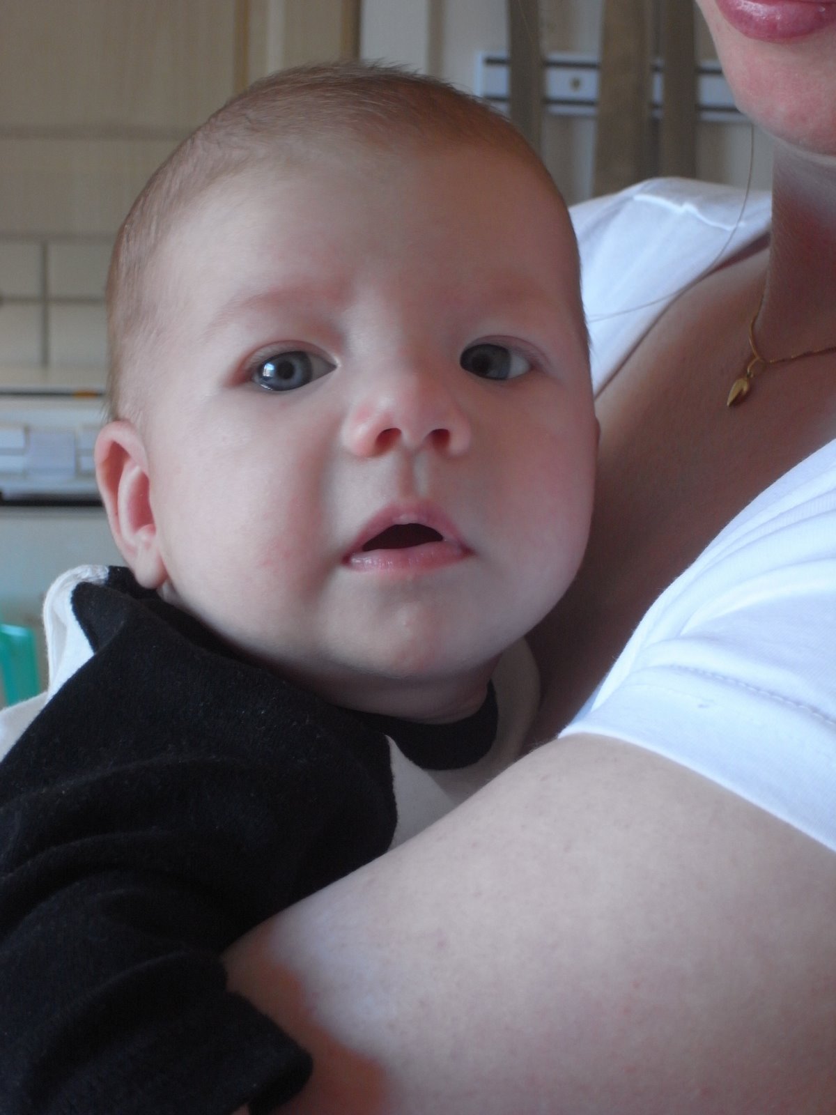 [R0011113.JPG]