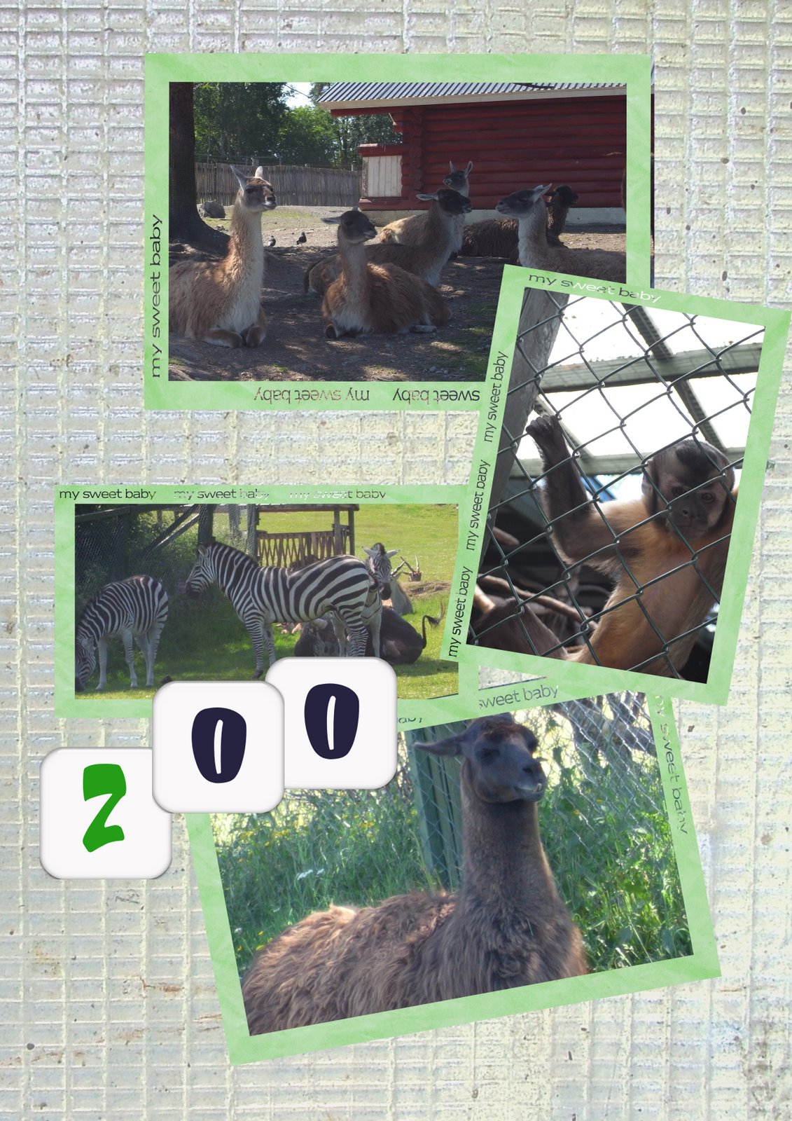 [zoo2009.jpg]