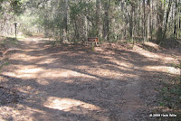 End of the connector trail at the Lake Overstreet Loop--keep to the left.