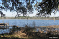 View of the lake from the landing on Lake Overstreet.