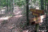 The sign says 'CENTRAL LOOP', but go left anyway.
