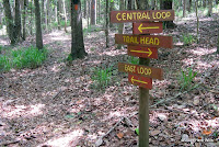Go right at the second signed intersection, following the arrow for the 'EAST LOOP.'