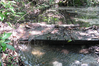 Small bridge that had become a small dam.