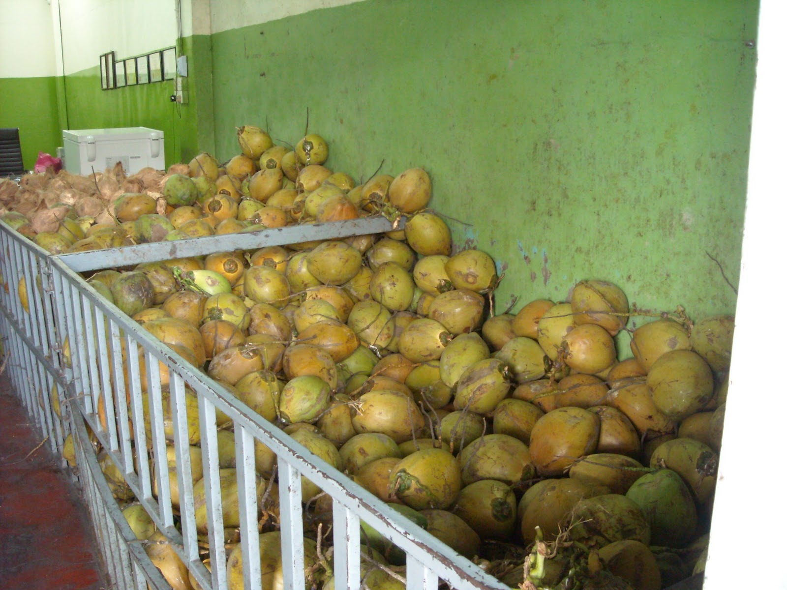 JannJann Penang Coconut Jelly Jalan Dato Kramat, Penang