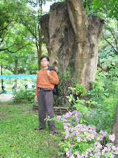 Forestation for plantfoods for soils