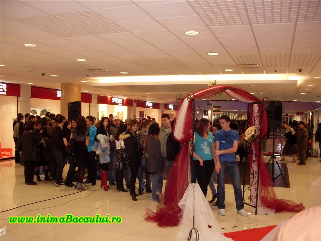 [www.inimaBacaului.ro+arena+mall+(1).JPG]