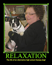 "Ike" BAHS's Therapy Dog