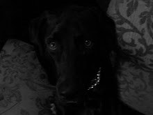 Shadow