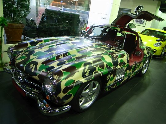[camo300SL#4-thumb-540x405.jpg]