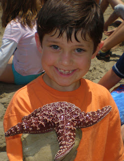Tide pool exploration, marine science, beach ecology and environmental respect are staples of the Aloha Beach Camp experience. Join us this summer and we'll learn about starfish together!