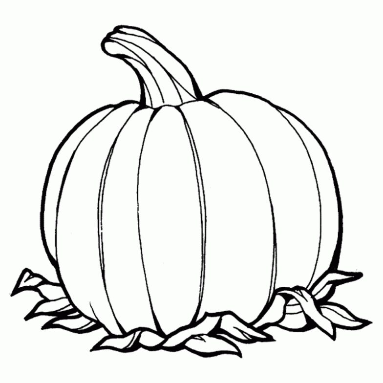 calabaza coloring pages - photo #19