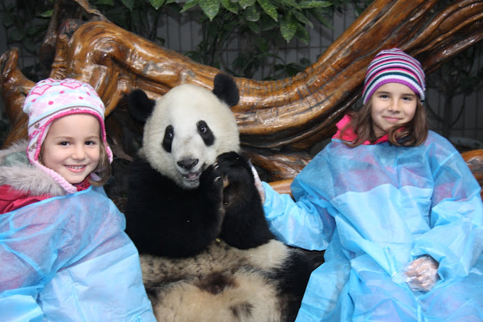 Pandas em Chengdu!