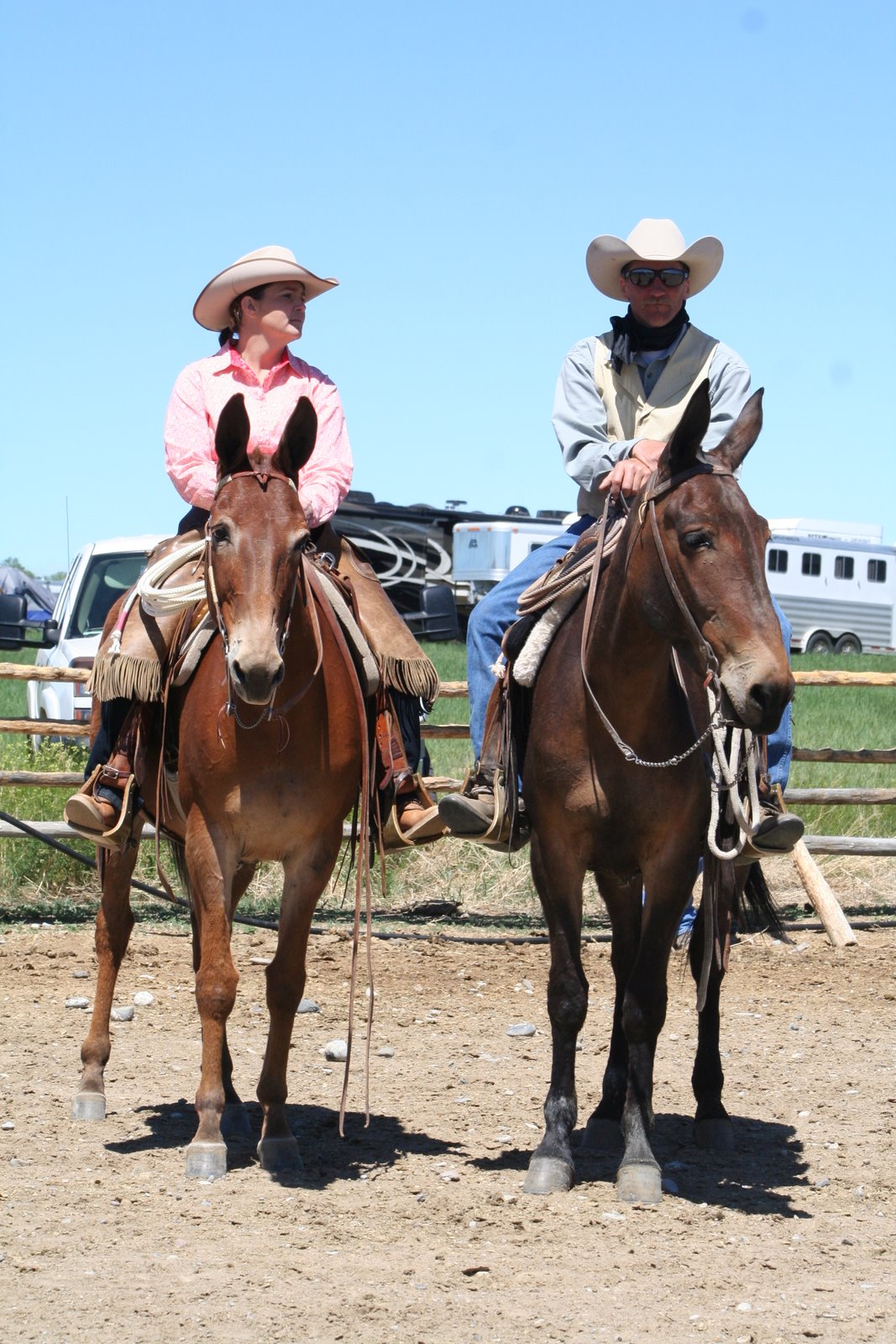 Jake Clark Mule Days 2025 Adrea Ardella