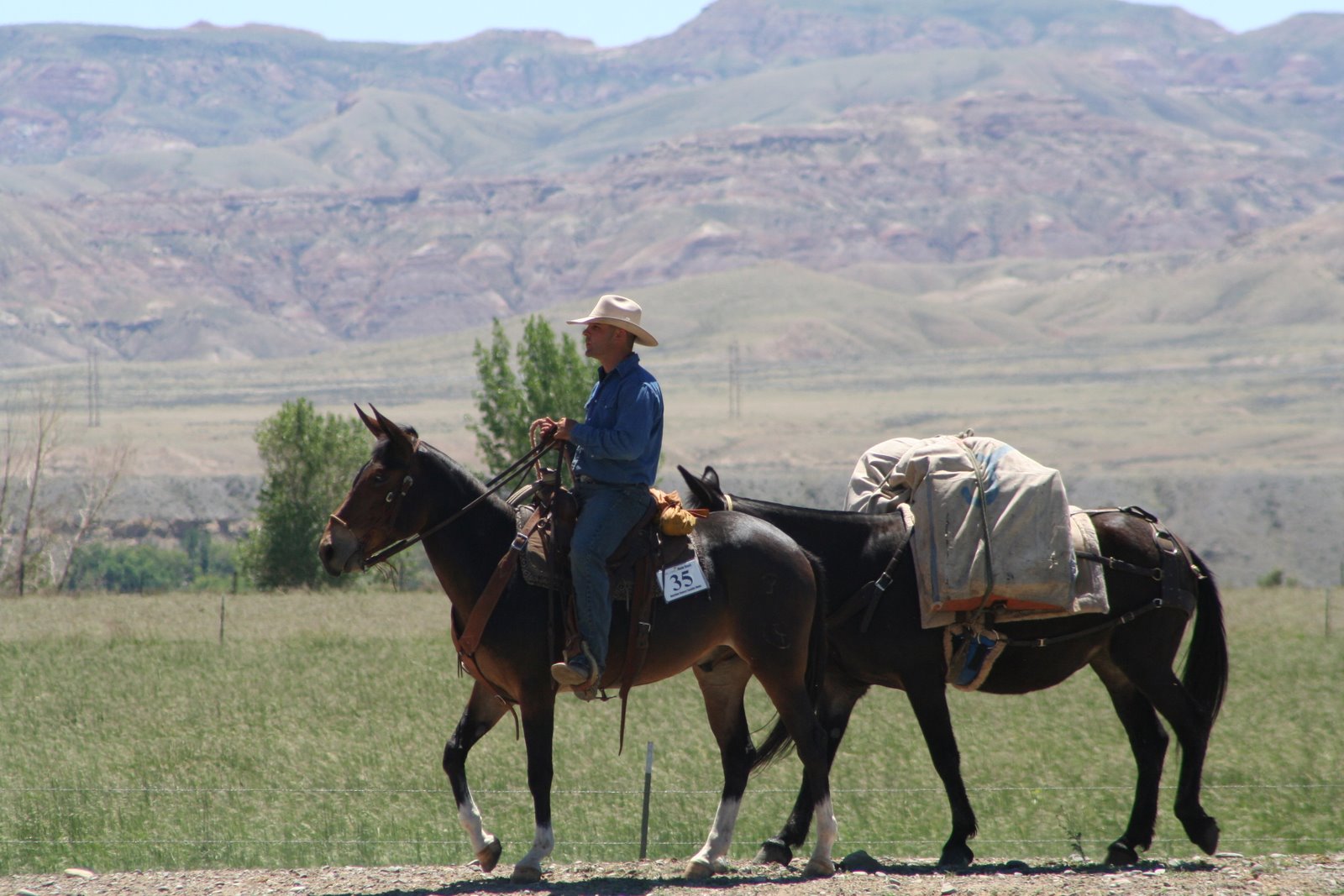 PairADice Mules: Trail Preview